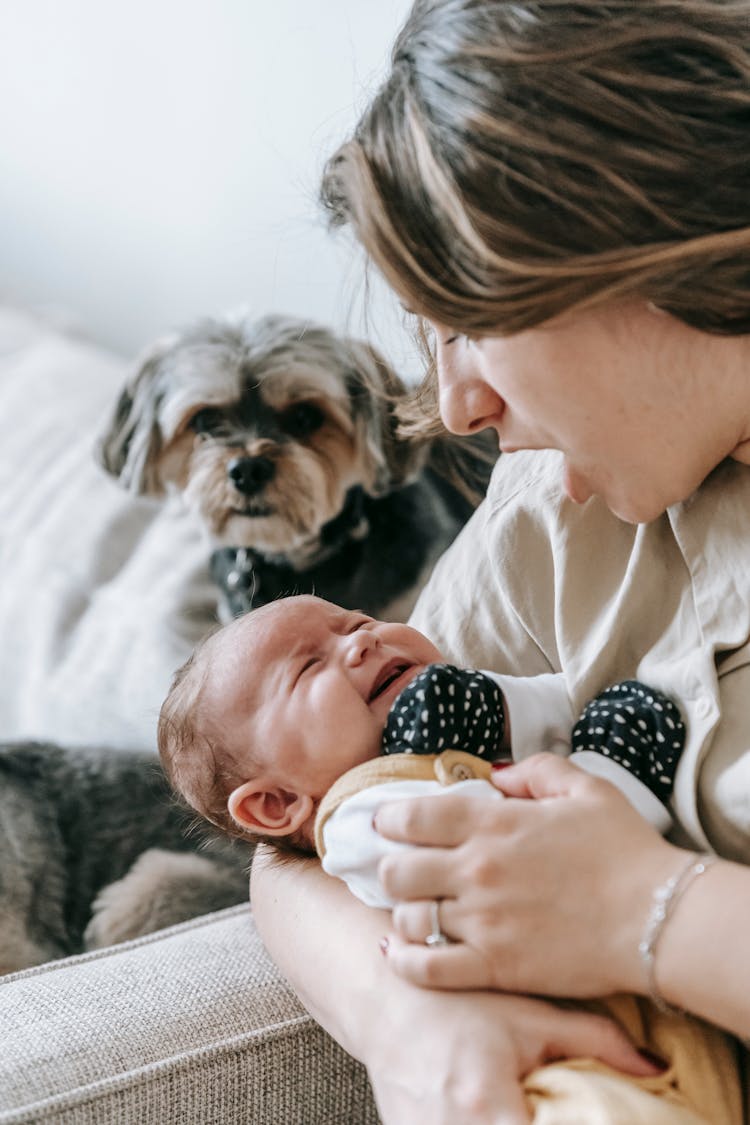 Mother Calming Crying Infant Near Morkie Dog