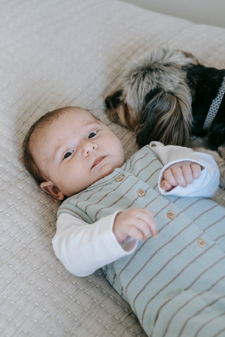 Infant Lying On Bed Near Dog