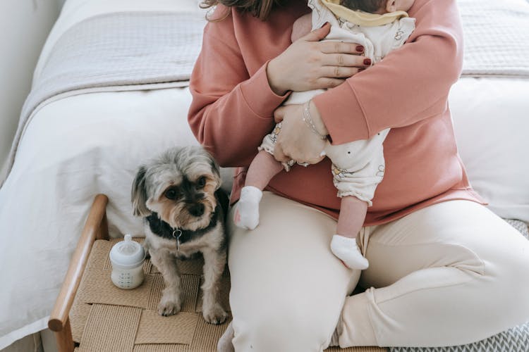 Faceless Mother With Newborn Baby Near Dog