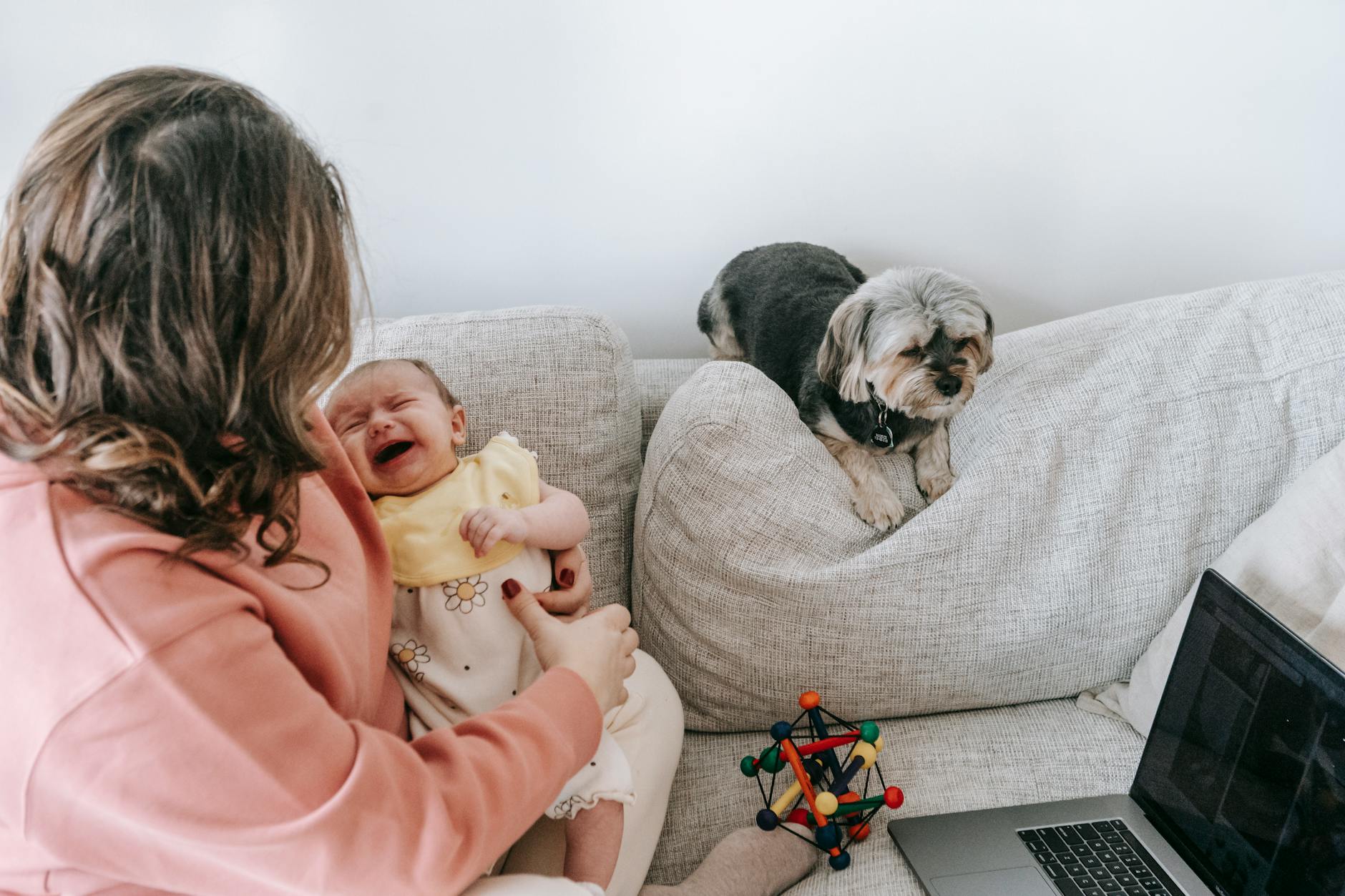 faceless-mother-with-crying-baby-near-dog