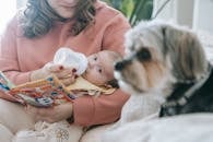 Faceless mother feeding newborn baby near dog