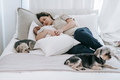 Young woman in casual clothes embracing newborn and sleeping on comfortable bed near cute purebred dogs at home