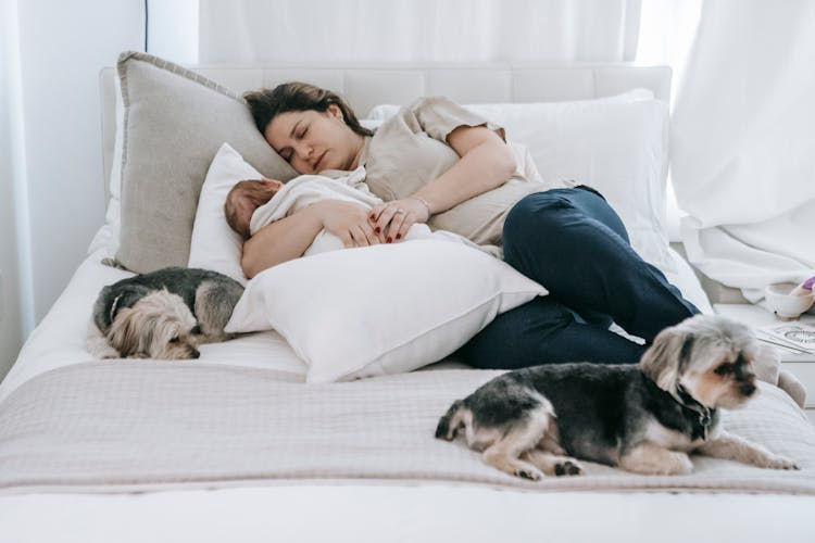 Tired Mother With Baby Sleeping On Bed Near Small Dogs