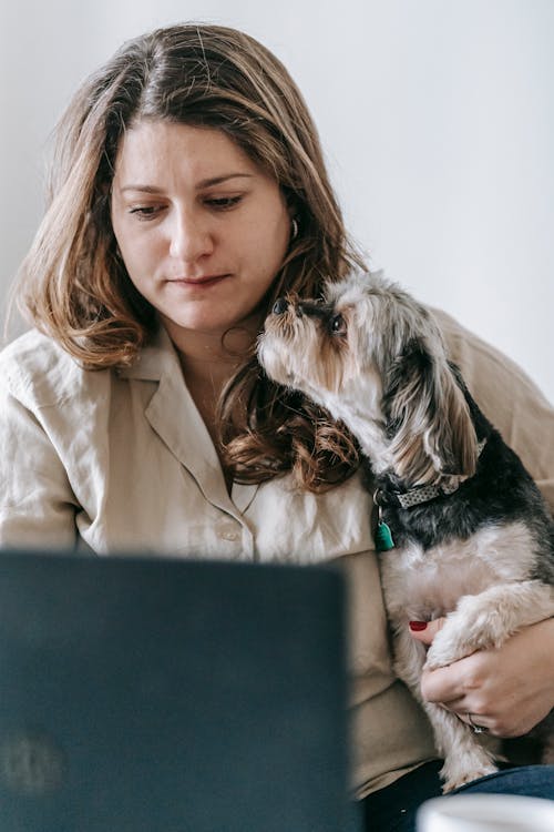 Free Woman with Her Dog Using Laptop Stock Photo