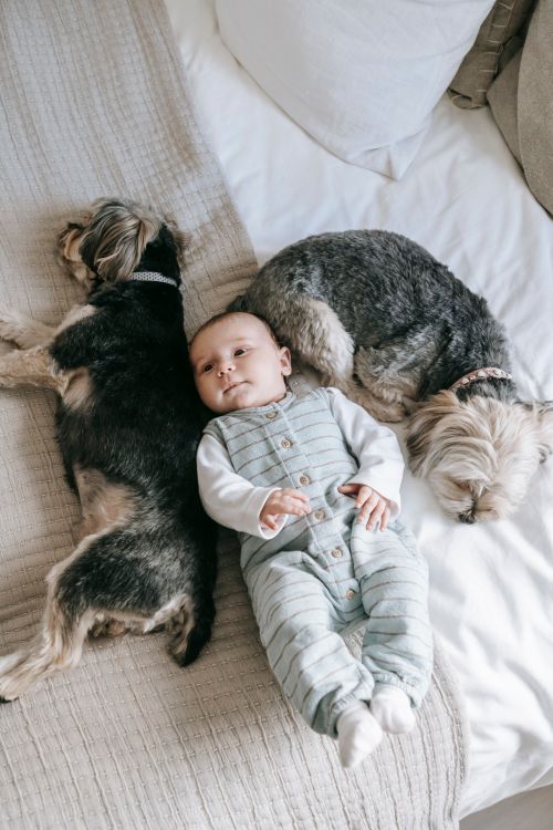 Best Baby Monitors 2026: Video, Audio, and Smart Options Compared