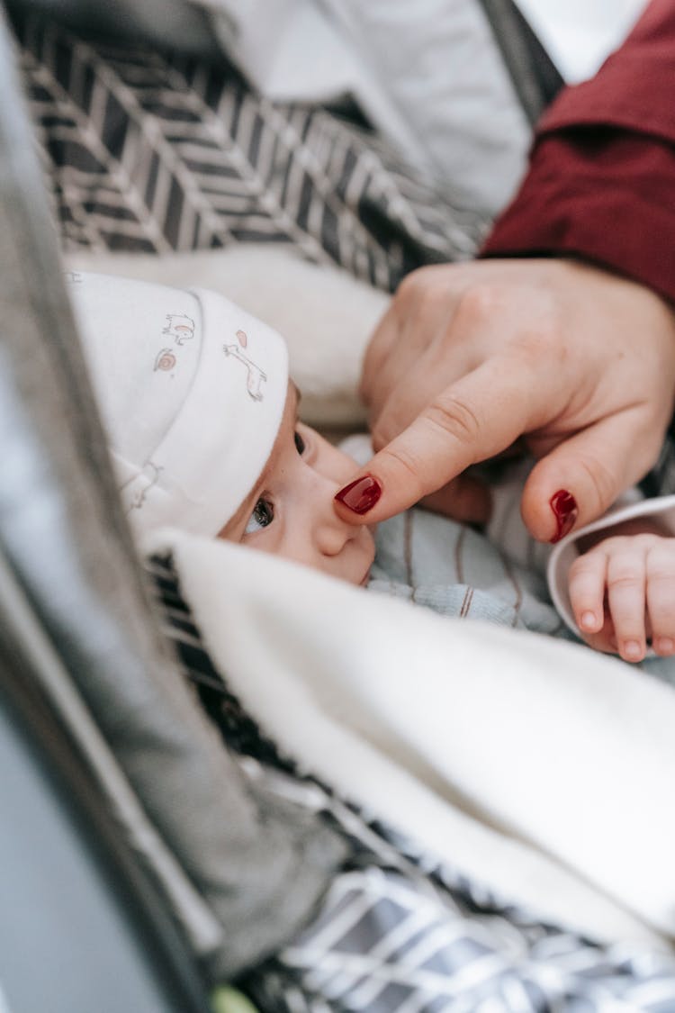 Crop Unrecognizable Parent Touching Nose Of Cute Baby