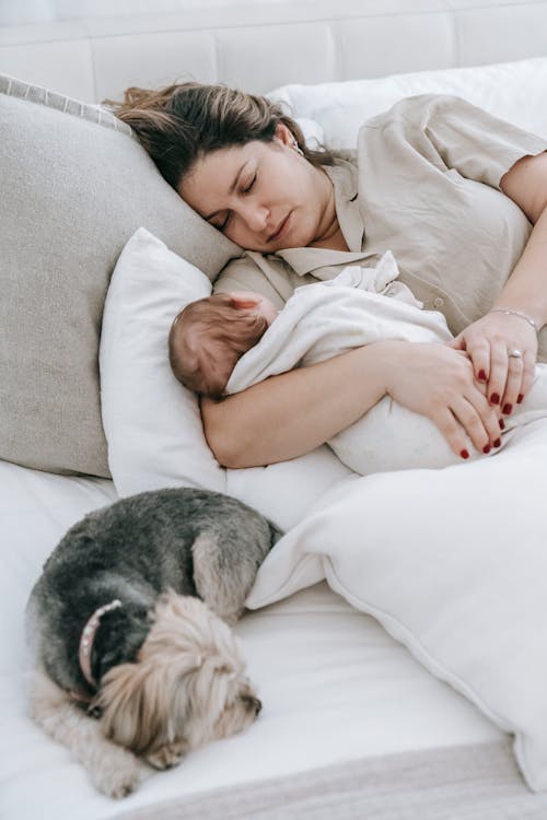 Free Young mom with cute baby and dog sleeping on bed Stock Photo