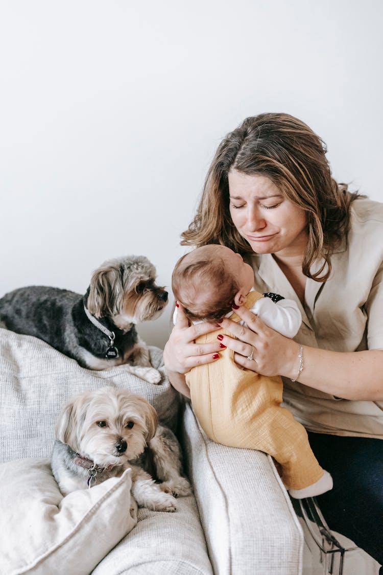 Content Young Mother Playing With Newborn Near Cute Dogs