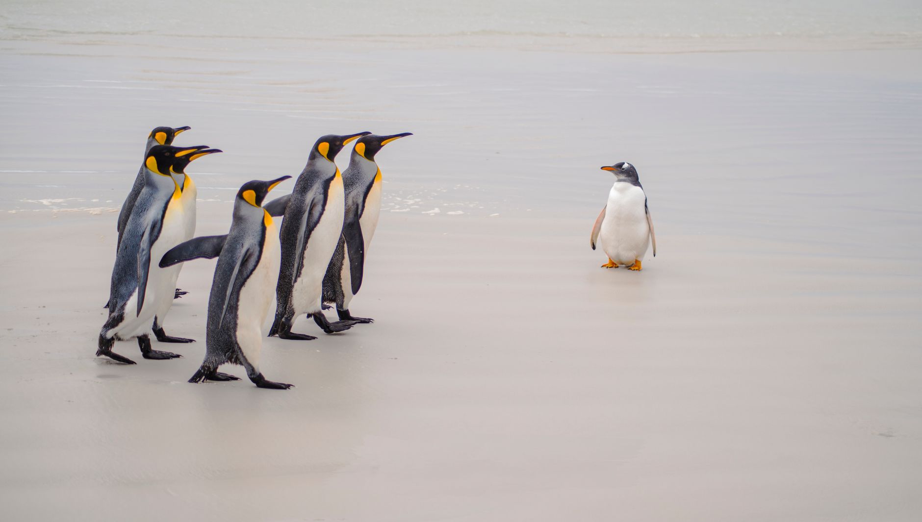 Antarctica, Antarctica