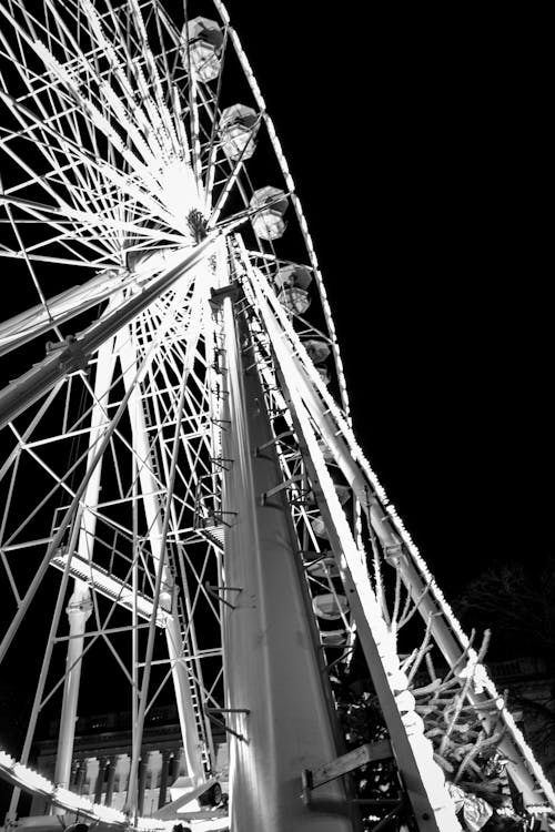 Grayscale Photo of Ferris Wheel