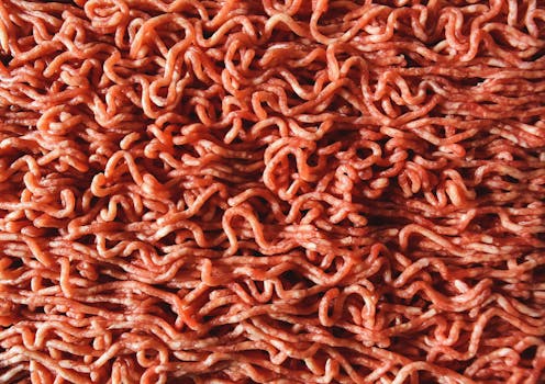 Beef, ground, 80% lean meat / 20% fat, raw