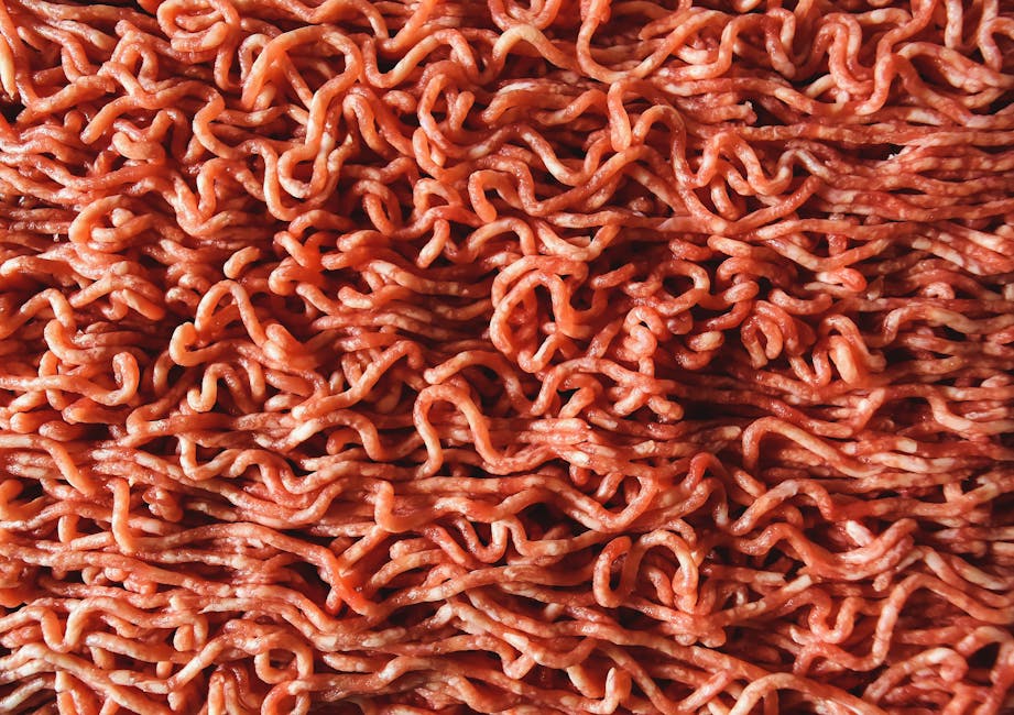 What Veterinary Research Reveals About Raw BARF Coat Health Detailed close-up image of raw, red ground beef with visible strands.