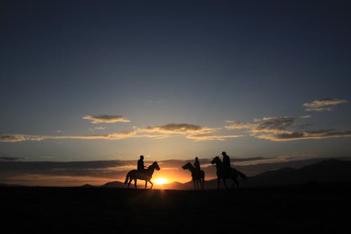 Silhouette of People Riding Their Horses 