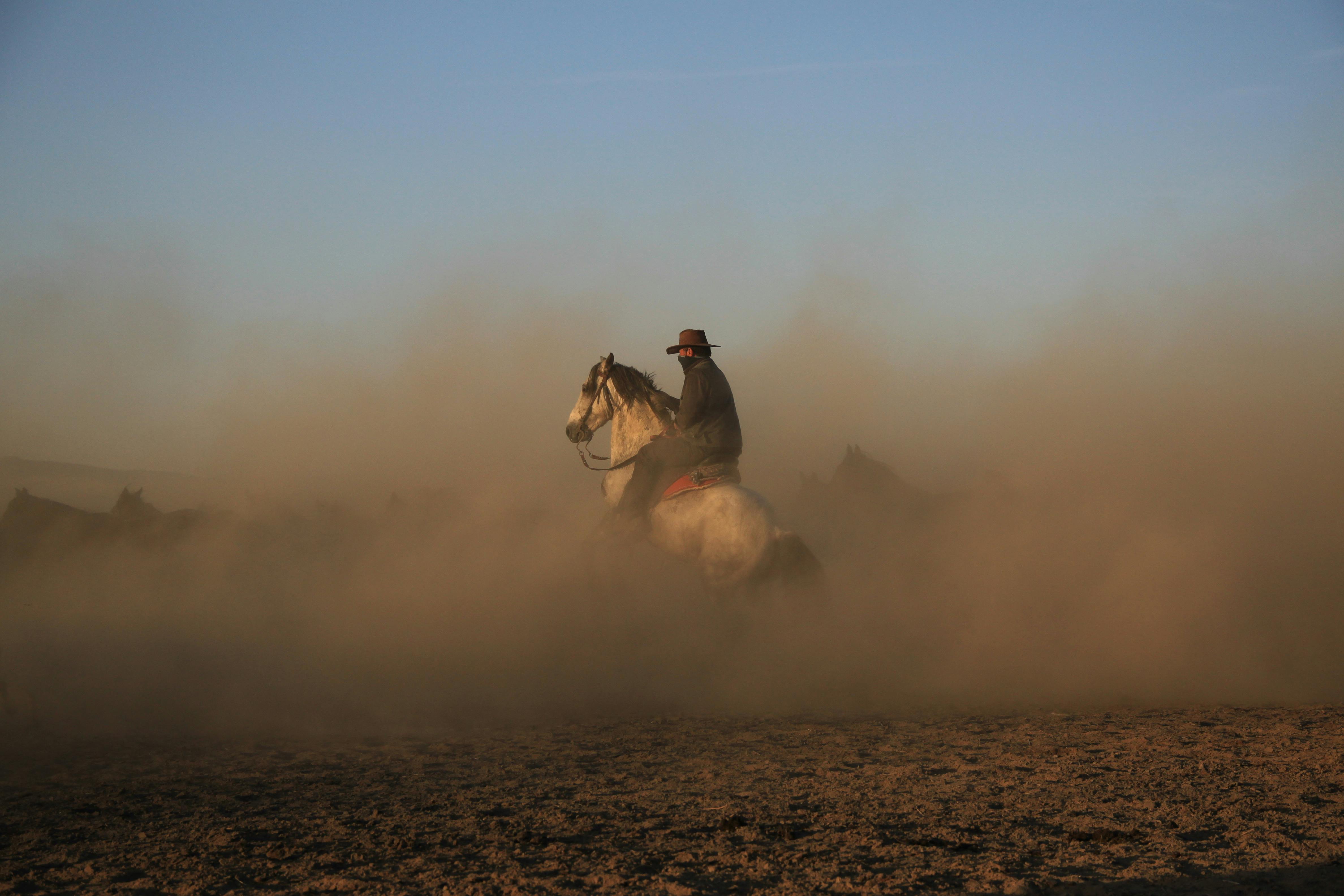 A Man Riding A Horse On The Field · Free Stock Photo