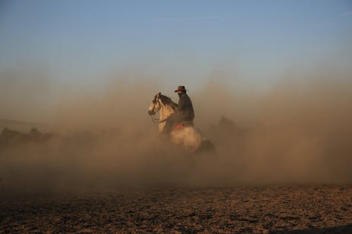 Free A Man Riding a Horse on the Field Stock Photo