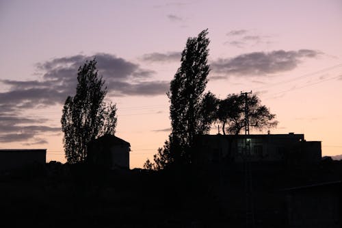 Free Silhouette of Trees and a House Stock Photo
