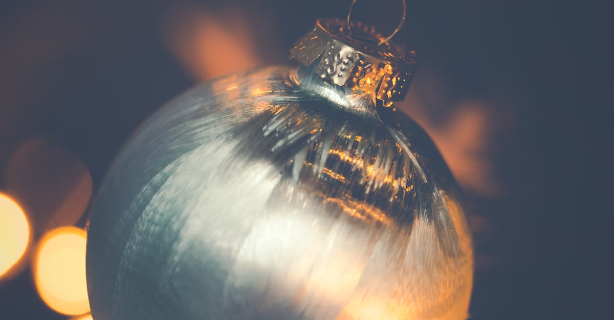 Shallow Focus Photo of Silver Bauble