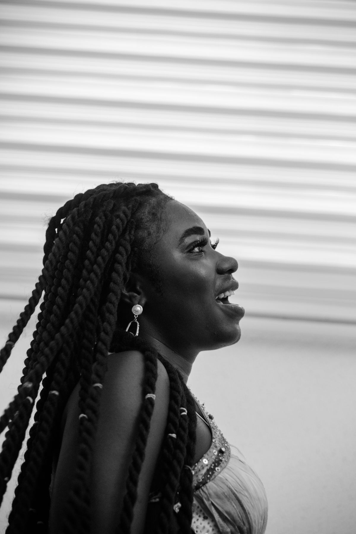 Fulani Detail Braids
