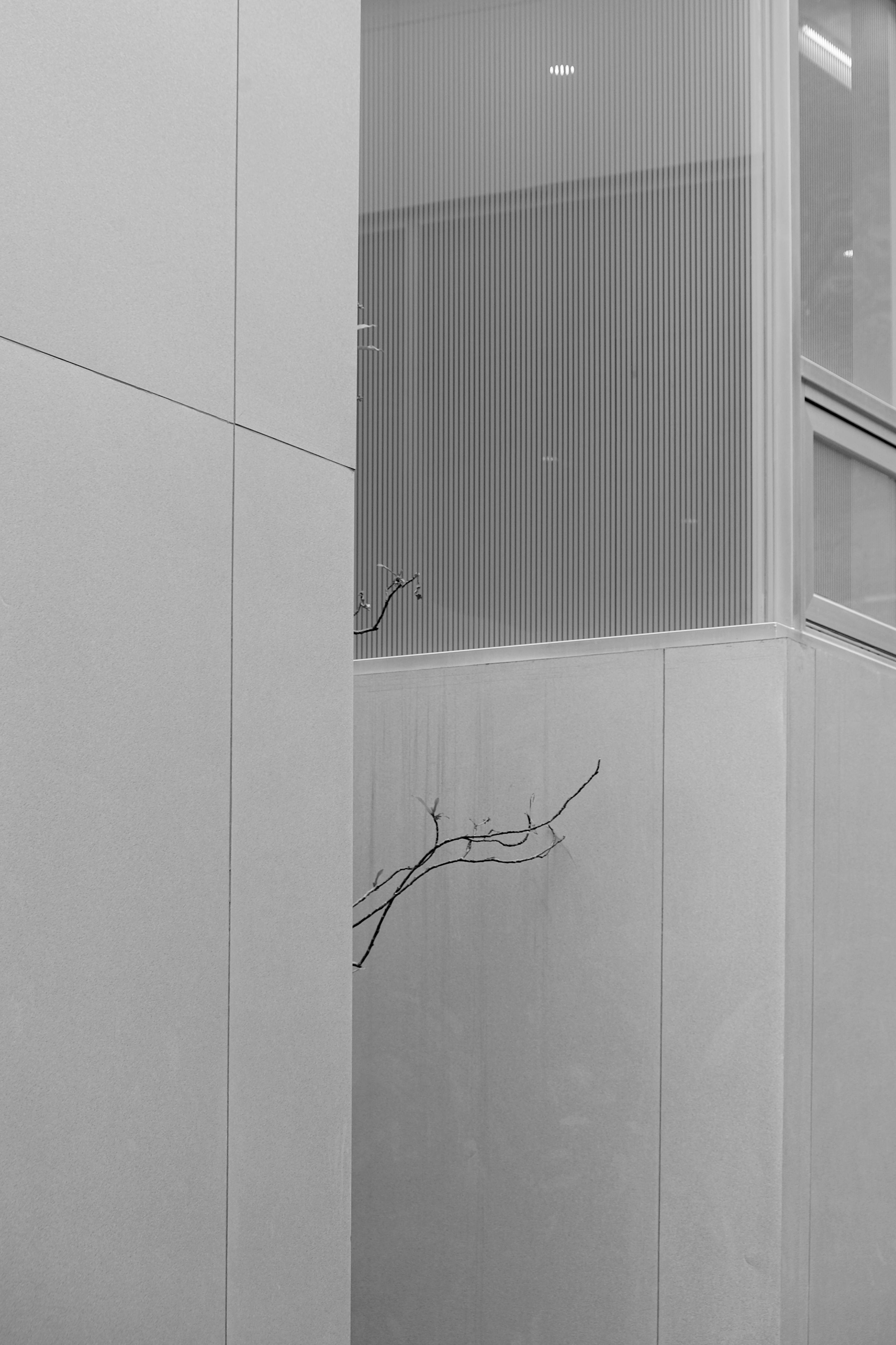 Modern gray building facade featuring a single branch in a minimalist design.