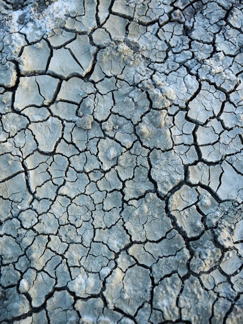 бесплатная Бесплатное стоковое фото с засуха, молотый, почва Стоковое фото