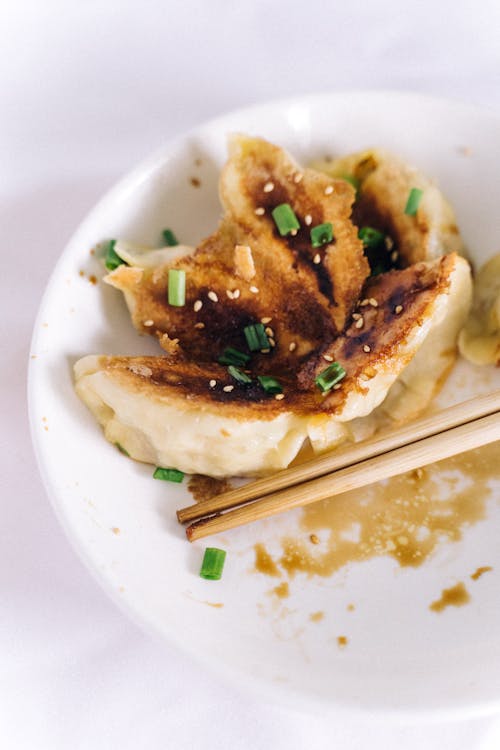 Crispy Dumplings on a Ceramic Plate garnished with Chives