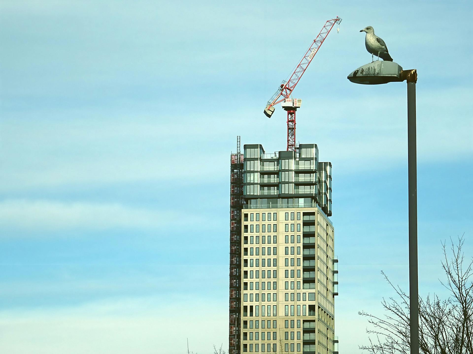 A cityscape featuring a building under construction with a crane and a bird perched on a lamppost.