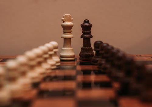 Black and White Chess Pieces