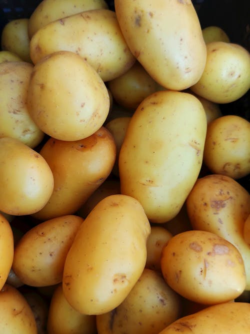 Close Up Shot of Potatoes