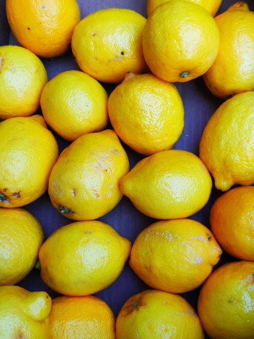 Free Fresh yellow lemons arranged on a vibrant purple background, showcasing vivid colors. Stock Photo
