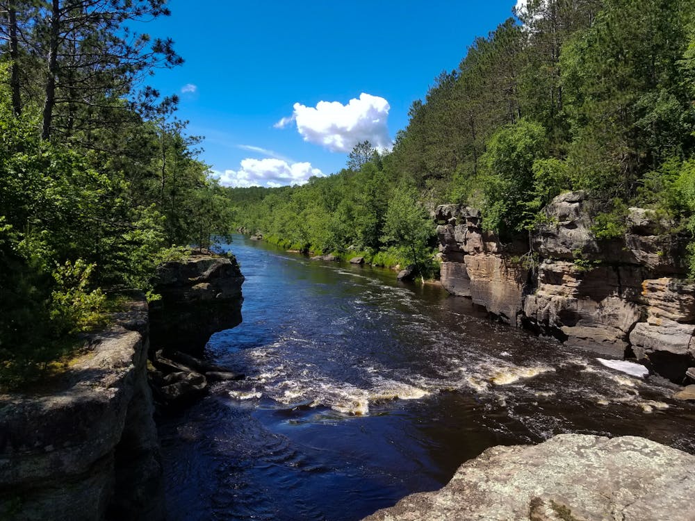 Les Arbres à Feuilles Vertes Le Long De La Rivière Sous Les Nuages Blancs Et Le Ciel Bleu