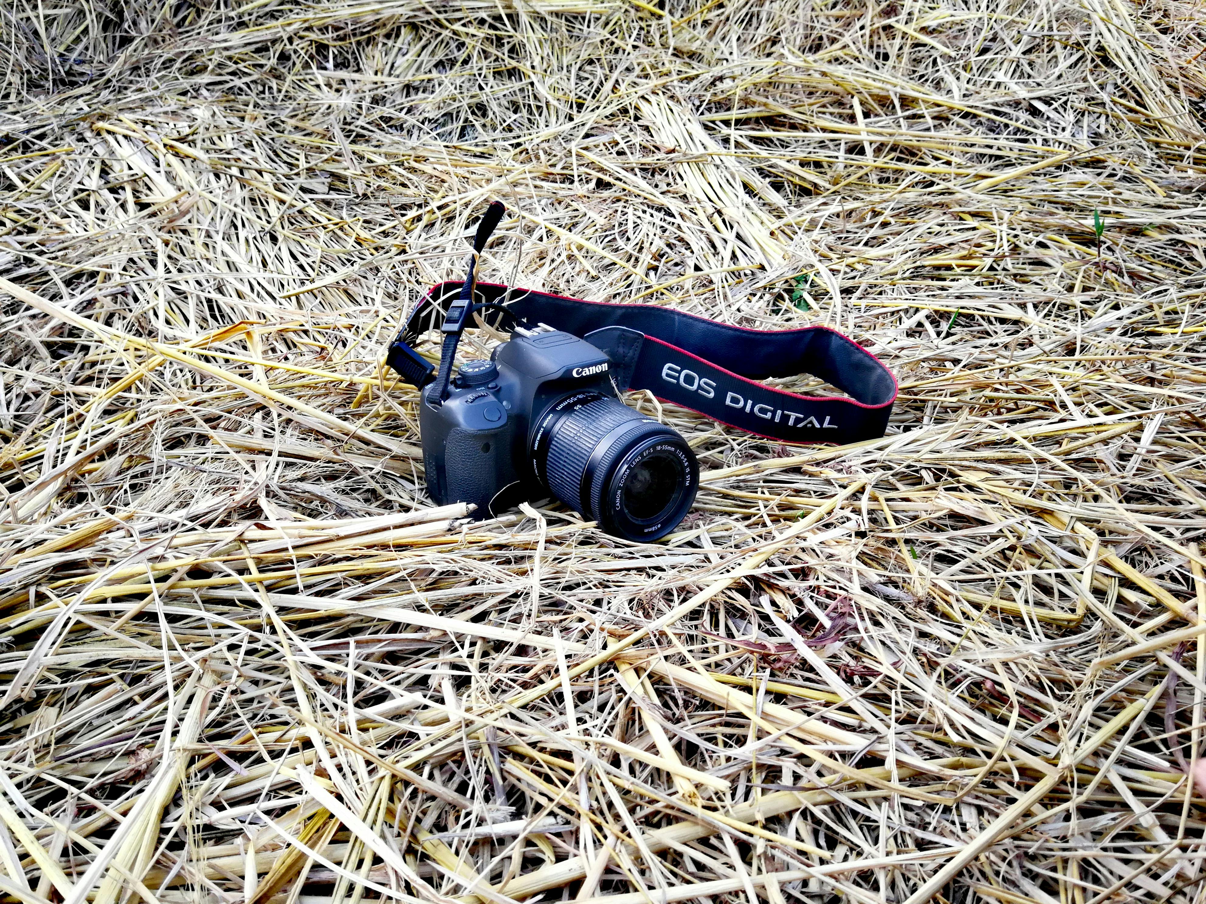 Child receiving conditional love from parent