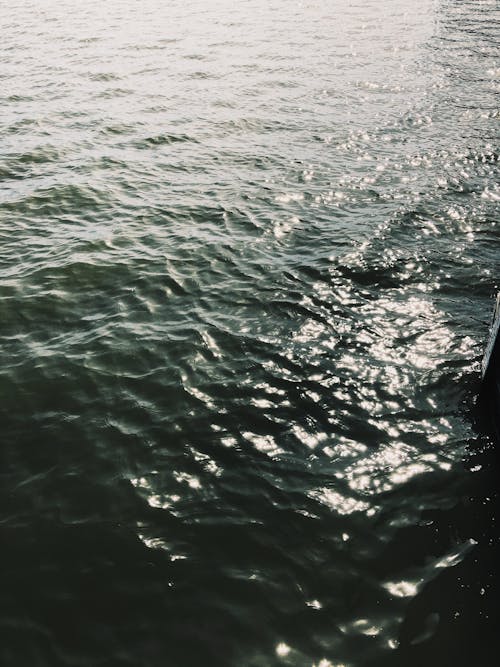 Ripples on Body of Water