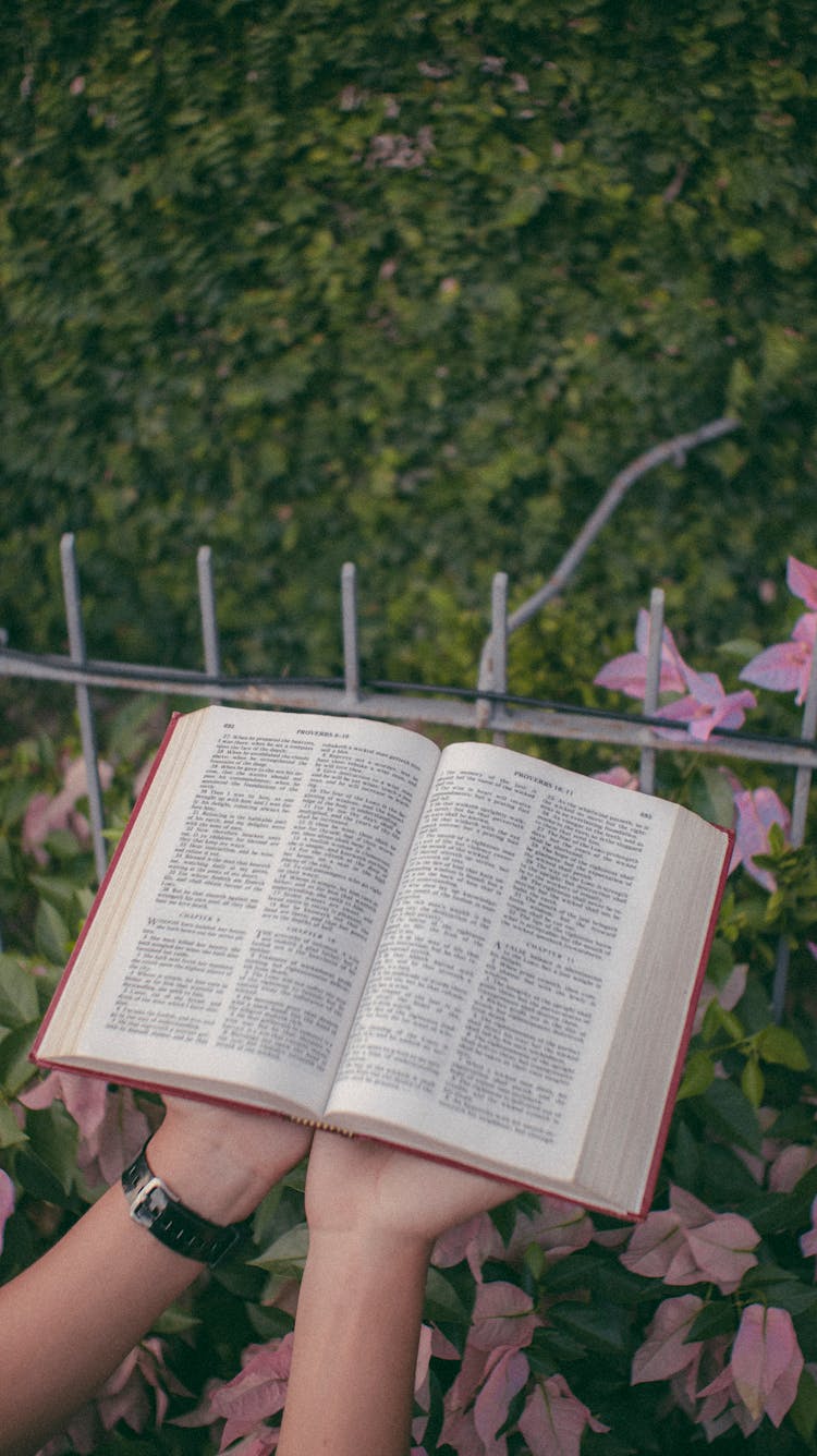 Person Holding An Opened Book 