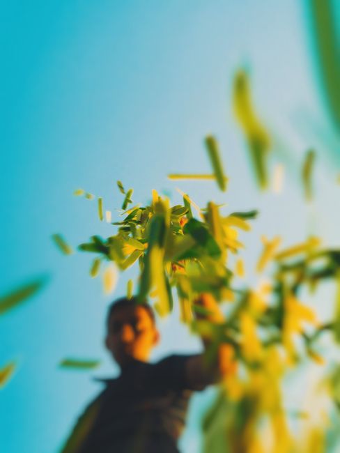 Blurred low angle view of a person with falling leaves against a bright sky, capturing motion and energy.