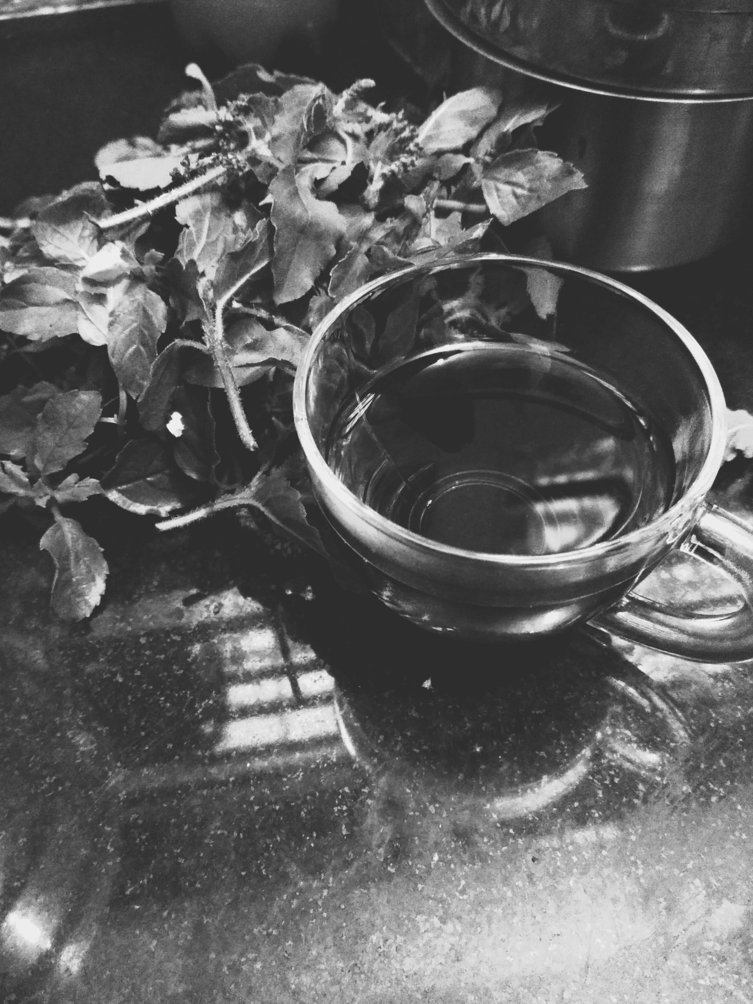 Free stock photo of black and white, green tea, herbal drink