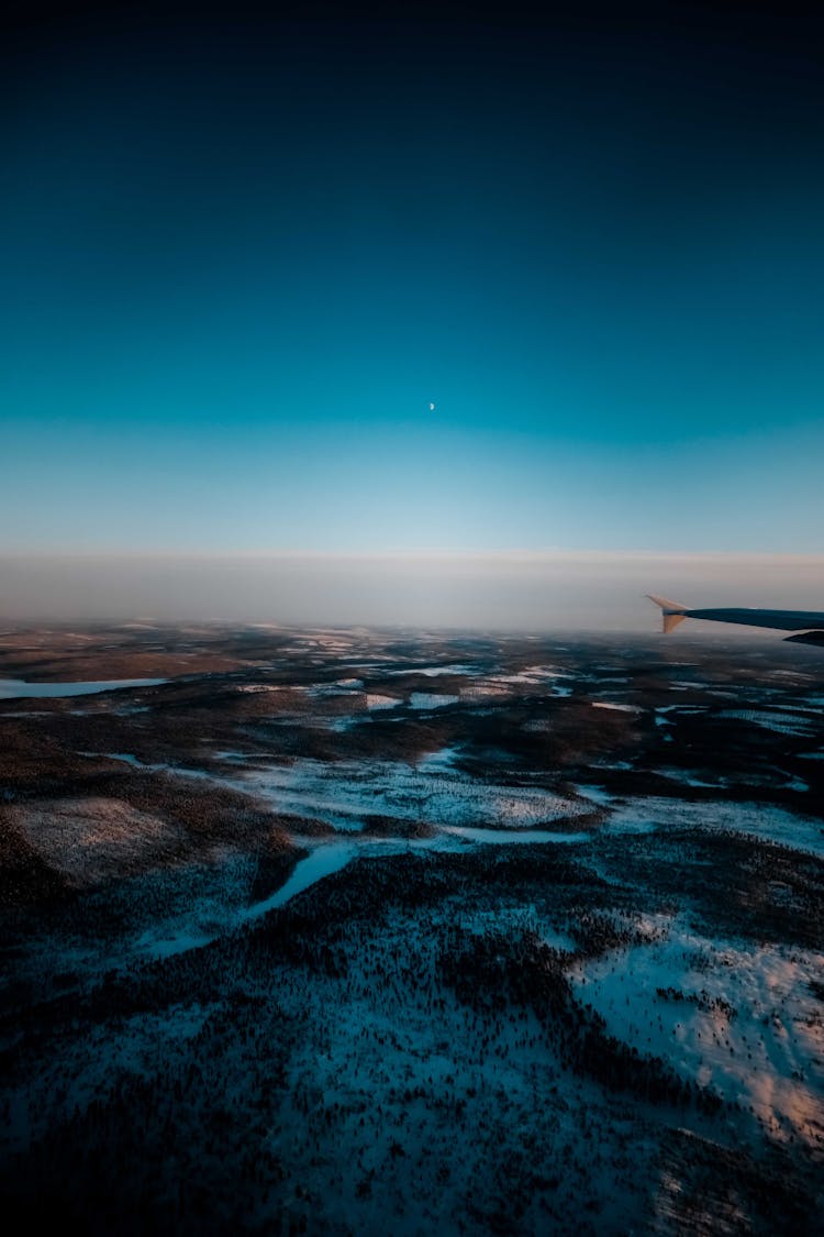 Plane Flying In Blue Sky Over Snowy Forest With Bare Trees