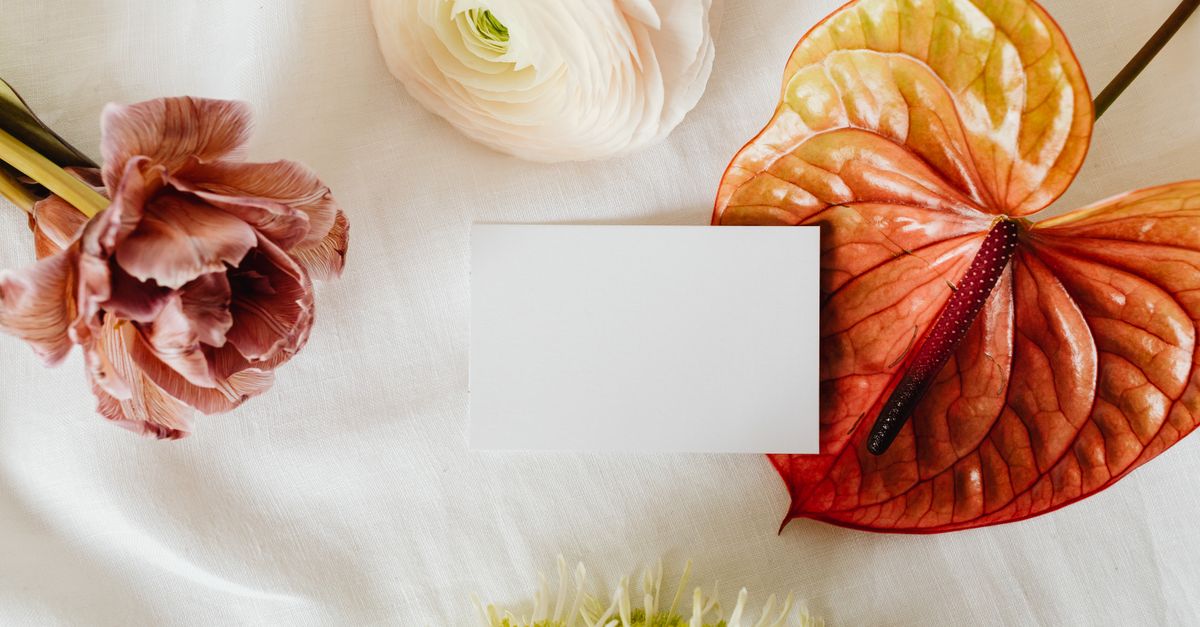 Anthurium : Guide Entretien Plante d’Intérieur