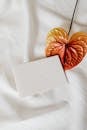 White Greeting Card on Anthurium Flower