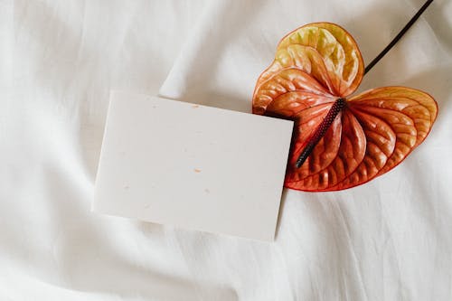 White Greeting Card on Top of Anthurium Flower