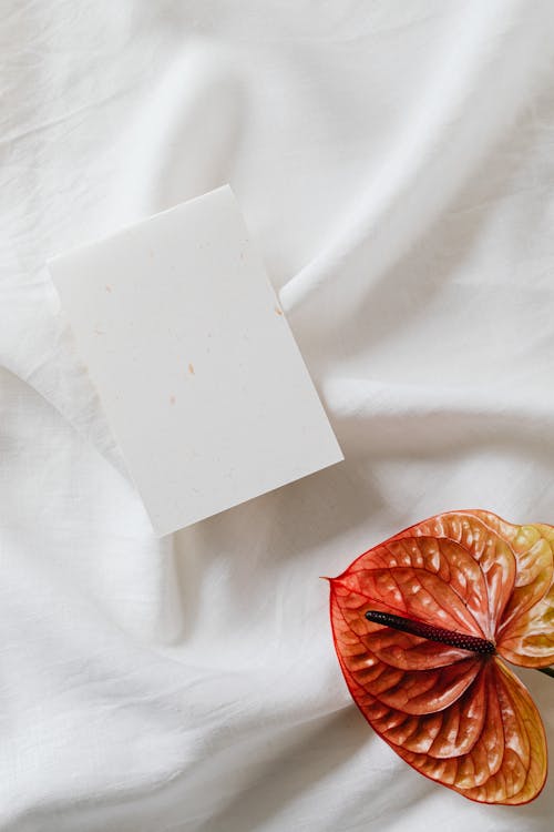 White Greeting Card on White Soft Textile