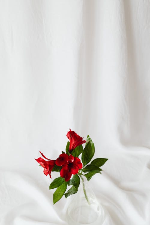 Red Flowers with Green Leaves on White Textile