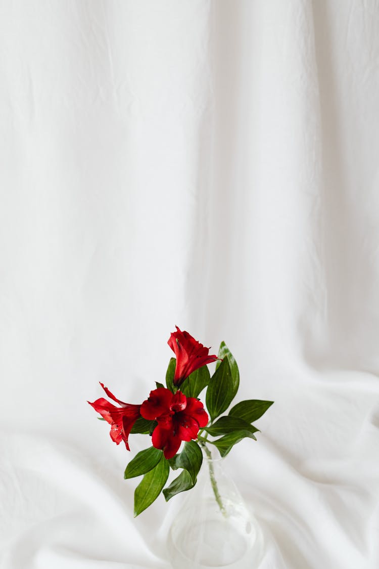 Red Flowers With Green Leaves On White Textile