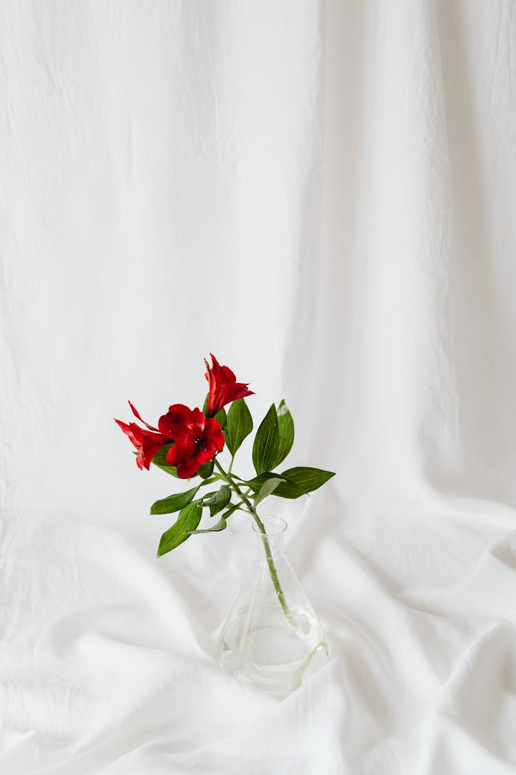 Red Flowers With Green Leaves On White Textile