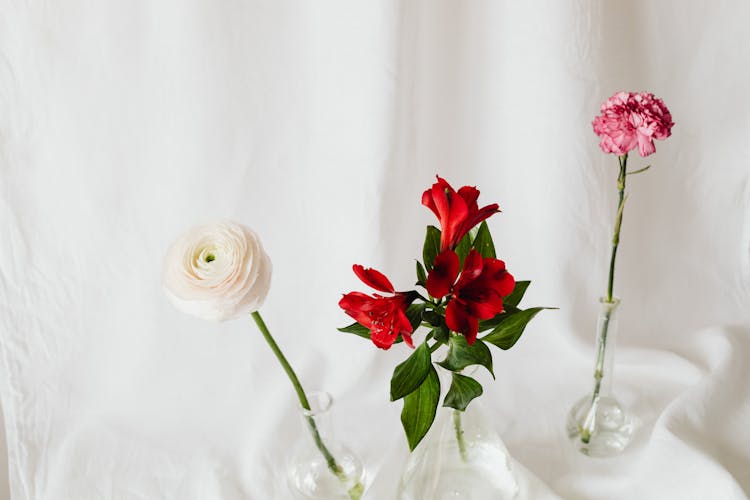 Assorted Flowers On White Background