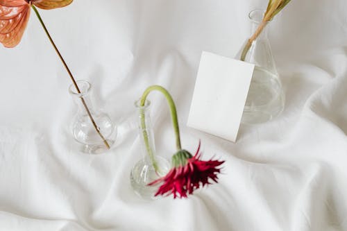 Flower Vases on White Textile