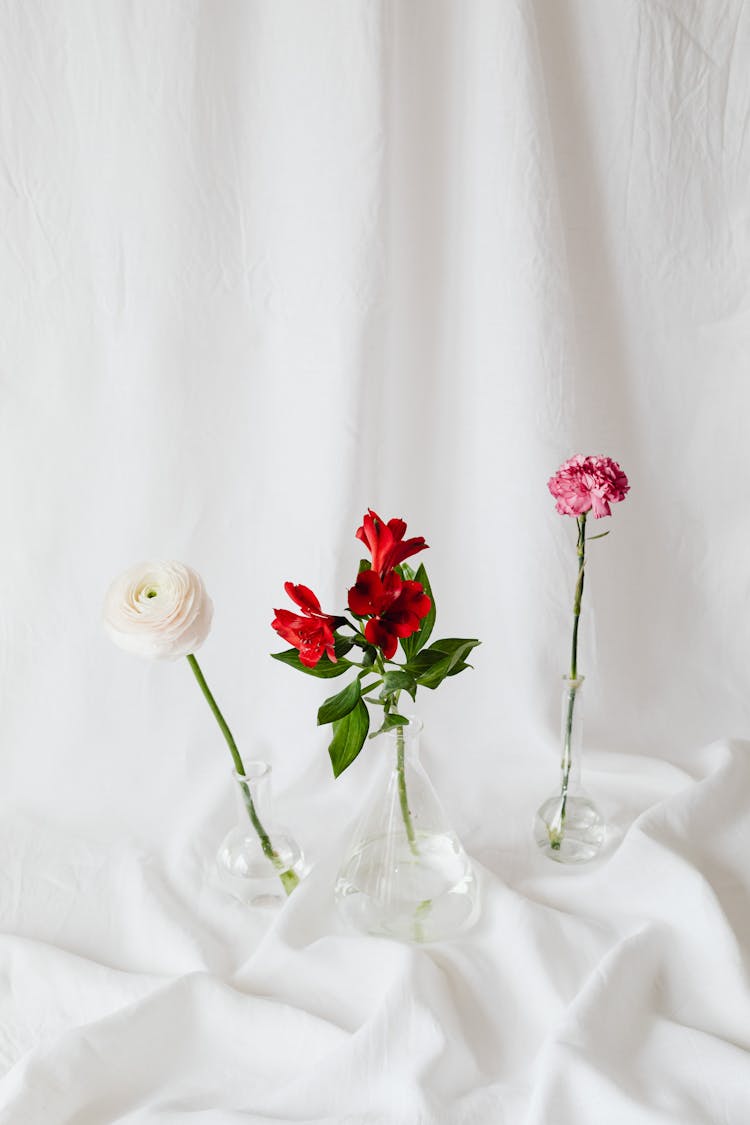 Assorted Flowers On Glass Vases