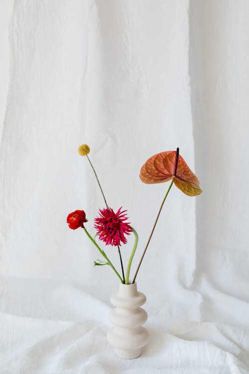 Imagine de stoc gratuită din decorațiune, delicat, flori