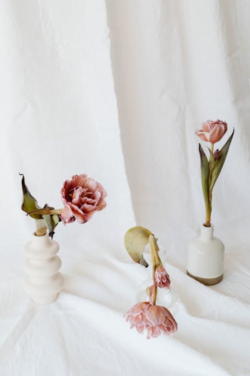 A Pink Flowers with Green Leaves on a Ceramic Vases