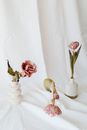 Free stock photo of bouquet, easter, elegant