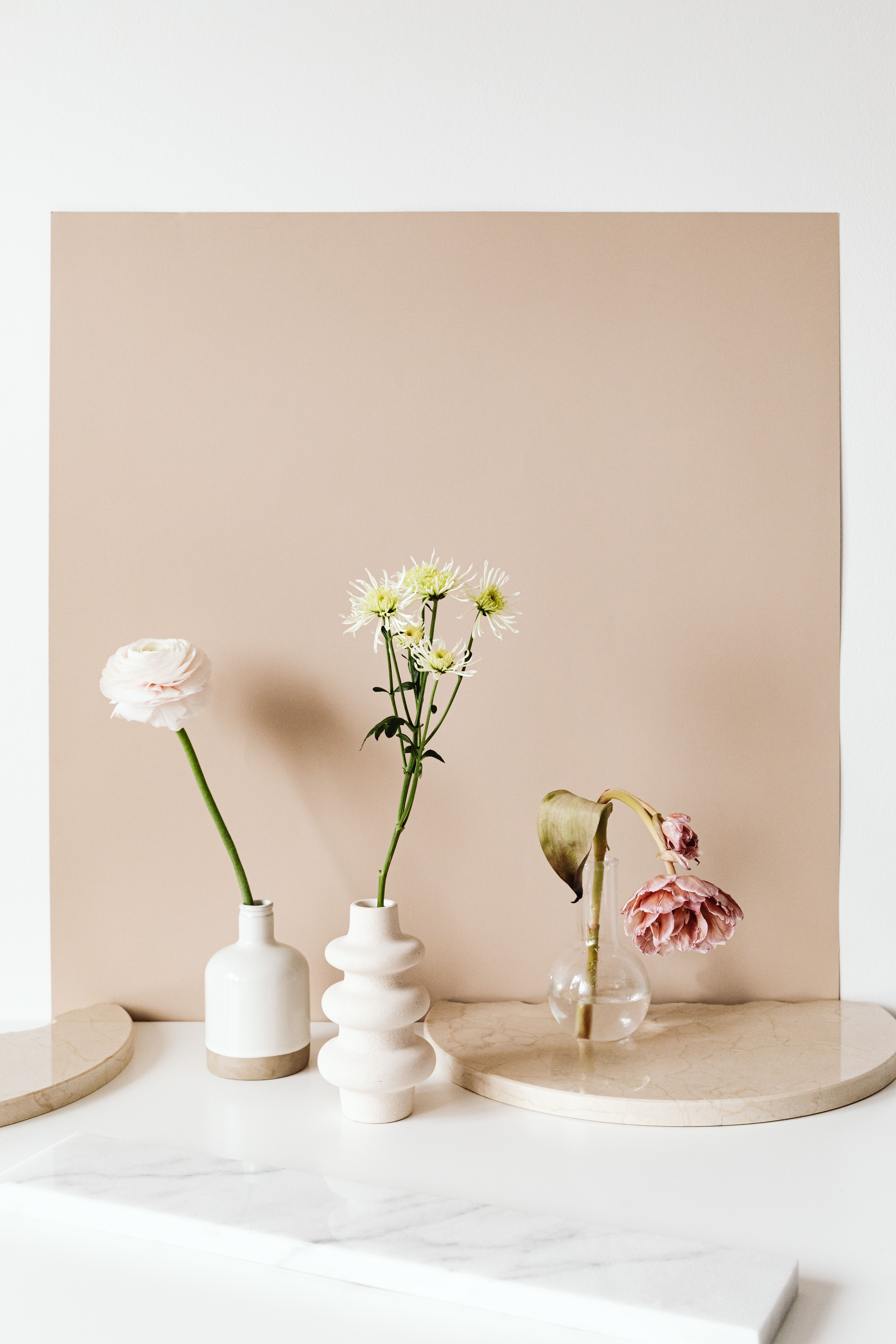 Elegant floral display featuring three vases with different flowers against a beige backdrop.. pexels, elegant, floral